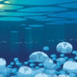 Meet your Posher, Ruby